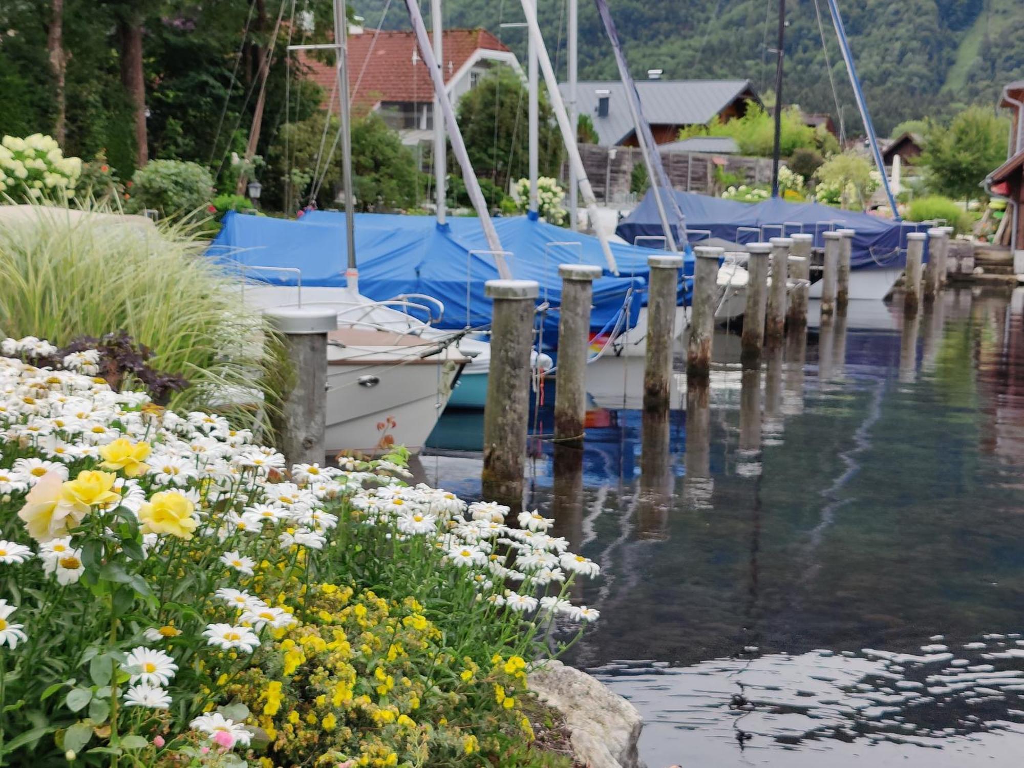 Wohnen Am See Villa Schroetter Direkt Am Traunsee Rindbach المظهر الخارجي الصورة