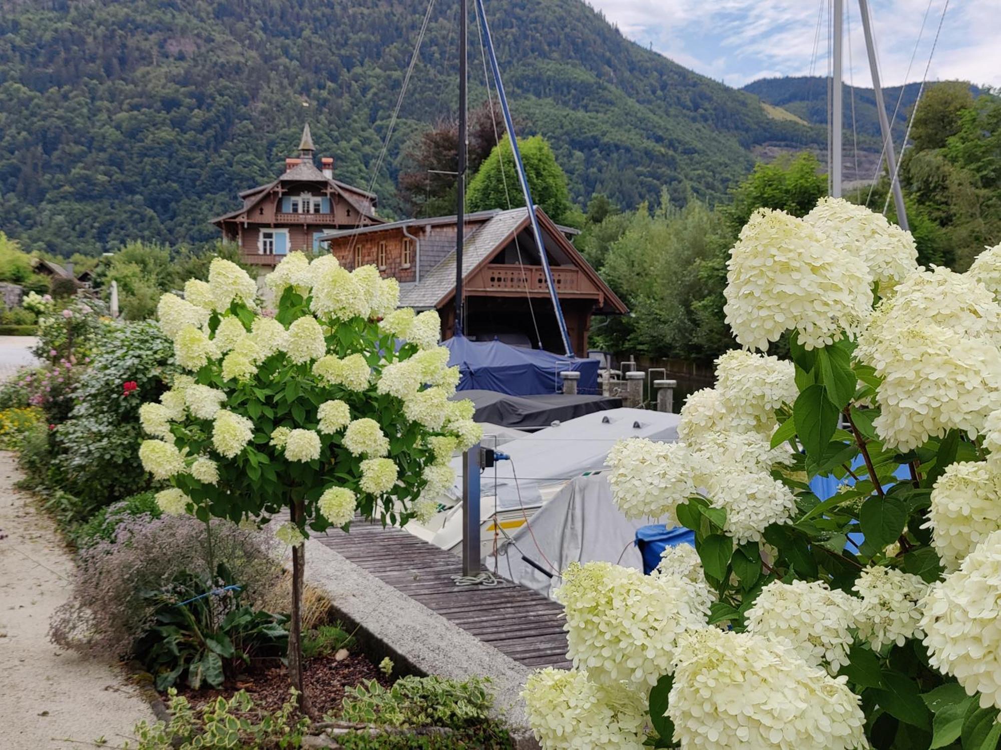 Wohnen Am See Villa Schroetter Direkt Am Traunsee Rindbach المظهر الخارجي الصورة